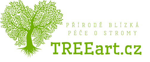 TREEart.cz – přírodě blízká péče o stromy